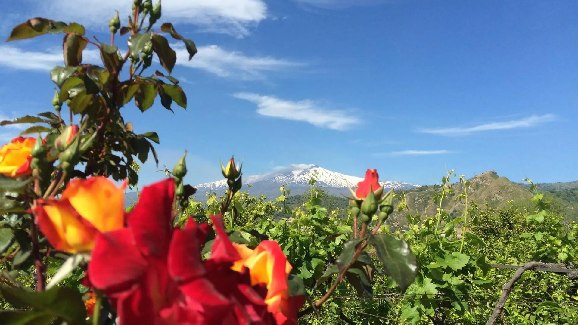 Il Giardino Segreto Bed & Breakfast Trappitello Italy