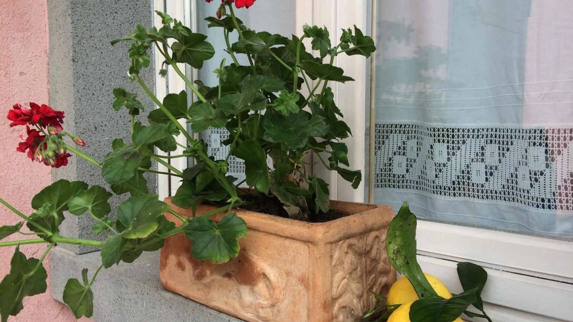 Il Giardino Segreto Bed & Breakfast Trappitello