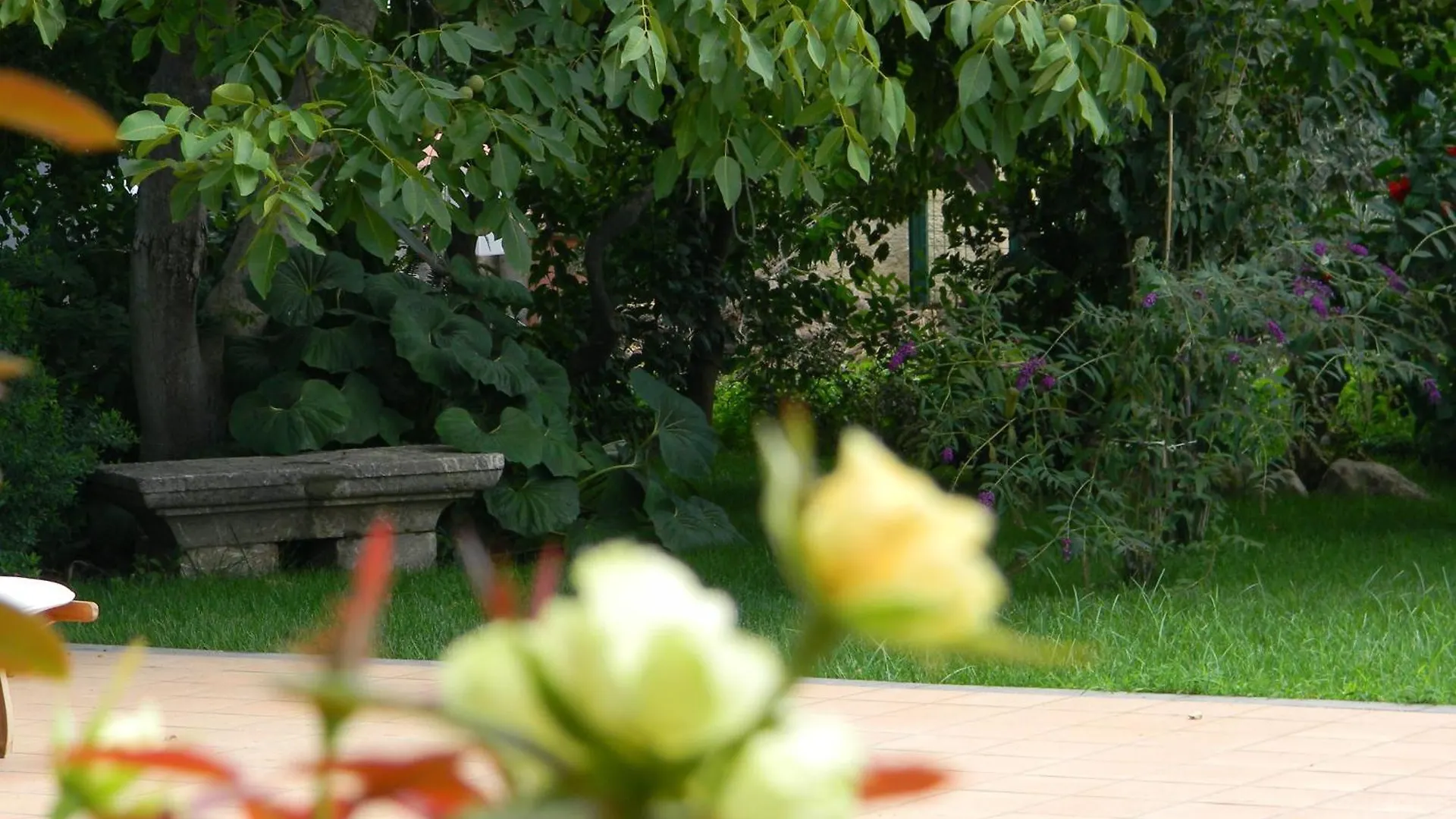 Il Giardino Segreto Bed & Breakfast Trappitello