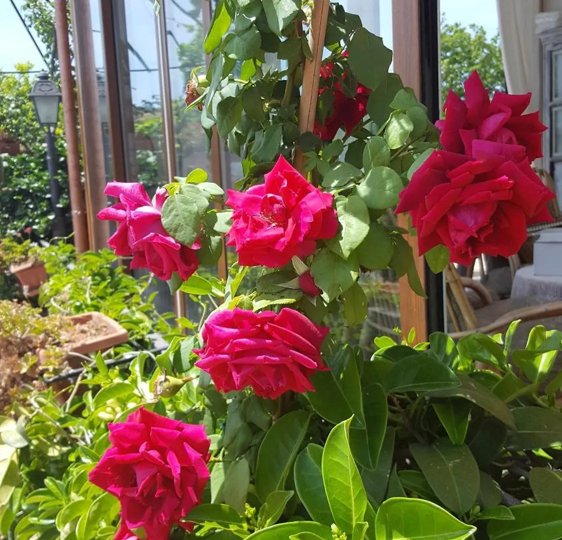 Il Giardino Segreto Bed & Breakfast Trappitello